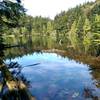 Spring at Twin Lakes in Moran State Park.