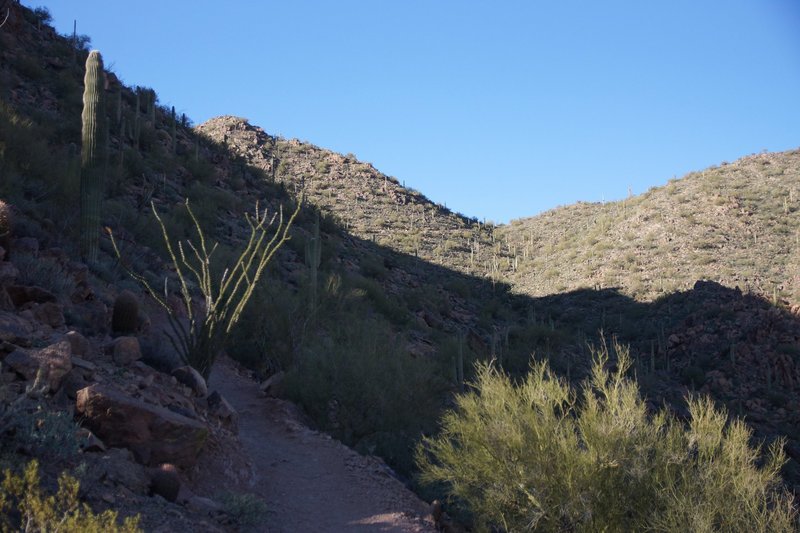 Mountain and Trail