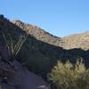 Mountain and Trail