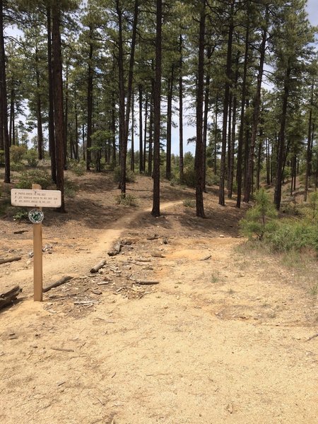 Prescott singletrack.