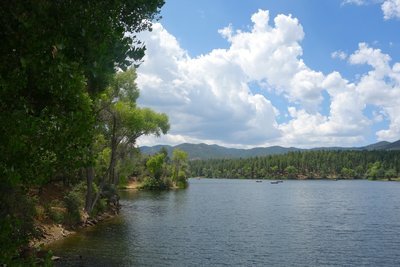 Lynx Lake