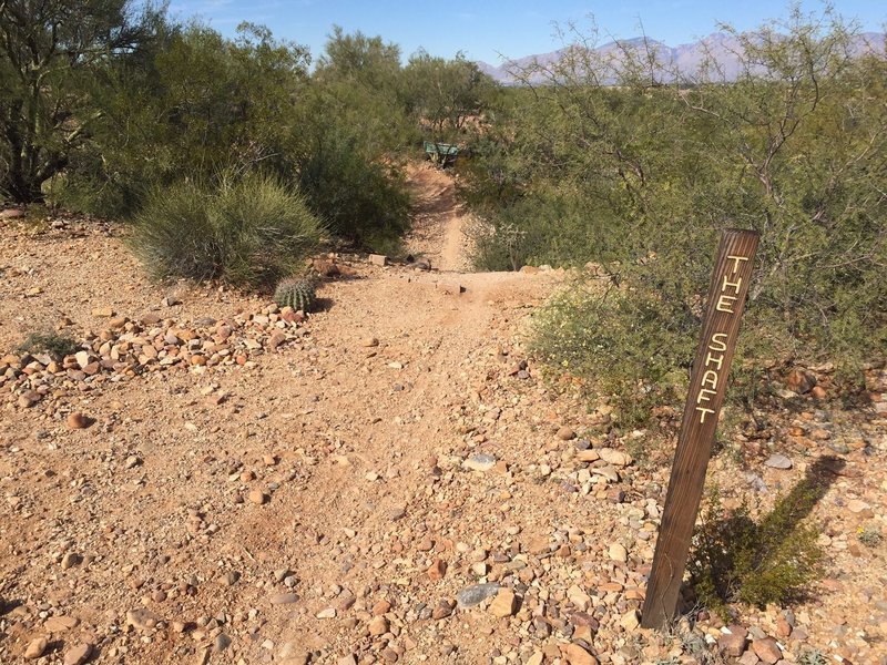 I've donated DNA at the bottom of the shaft, as have many others.  This intimidating drop is remarkably smooth due to the pavers stones, but there is a quick left and immediate climb waiting on the other side.