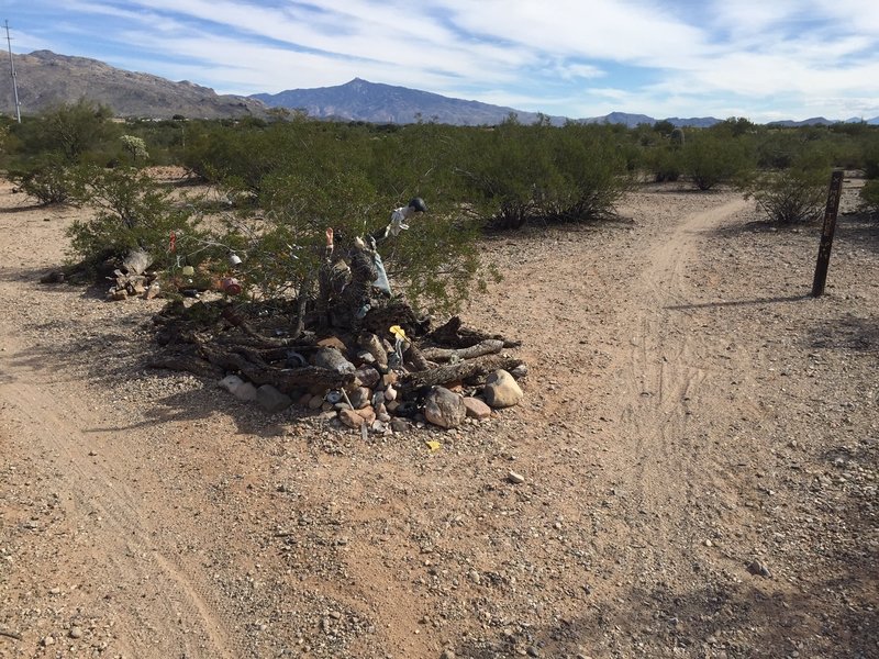 Entrance to Christmas Tree Loop, time for some new décor.