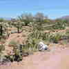 One of the trail gems marking the start of the trail. Catalinas to the left, Rincons to the right.