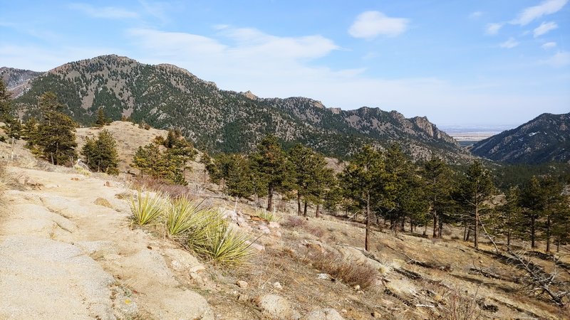 Looking east on the trail