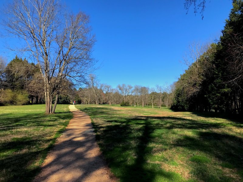 Much of the trail runs through large open spaces of the old plantation