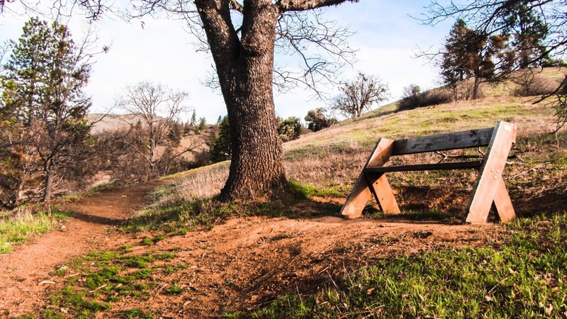 Bench part way up trail