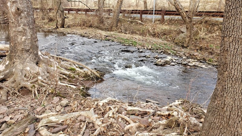 Jacob's Creek, just north of the trailhead.