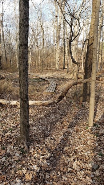 A walkway takes you through a particularly wet section of trail.