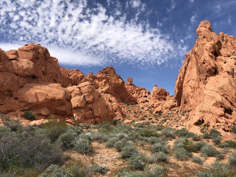 A view of the red rock formations along the Pinnacles Trail.