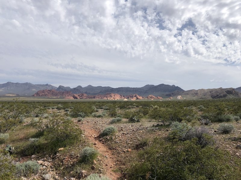 The flatland portion of Pinnacles Trail follows markers rather than singletrack. The smooth rock on the left of the formation ahead is near the trailhead, and makes a good backup if you get lost.