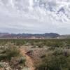 The flatland portion of Pinnacles Trail follows markers rather than singletrack. The smooth rock on the left of the formation ahead is near the trailhead, and makes a good backup if you get lost.