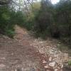 Dry creekbed along Wildcat Canyon Trail