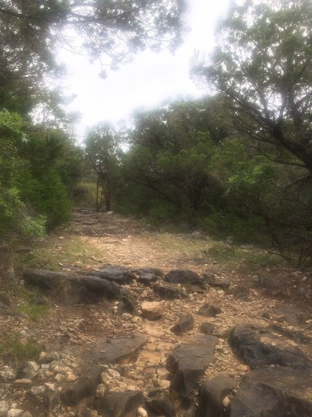 Wildcat Canyon Trail