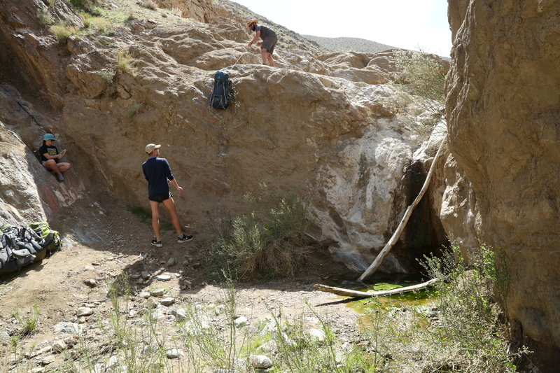 Dry-Fall coming down Dead Horse.  Note shorter drop on right side near log, but also pool of water at base (March).   We found a way around but not for those scared of heights. Location on map not 100% accurate.