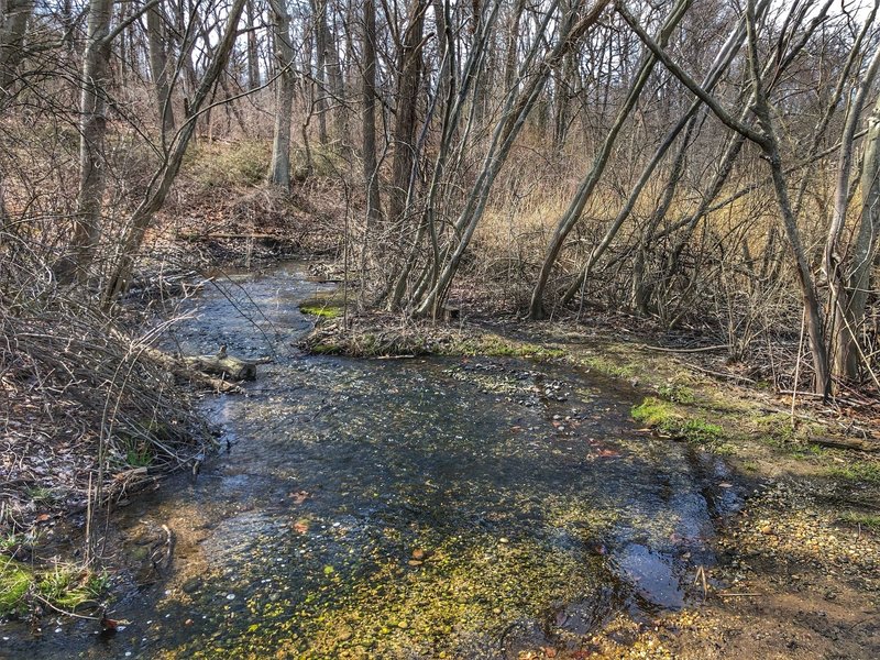 Small brook next to a small scenic lake on the east side of the preserve