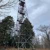 The Dickenson Fire tower