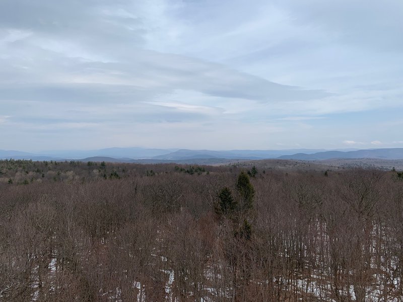 View from the Dickenson fire tower