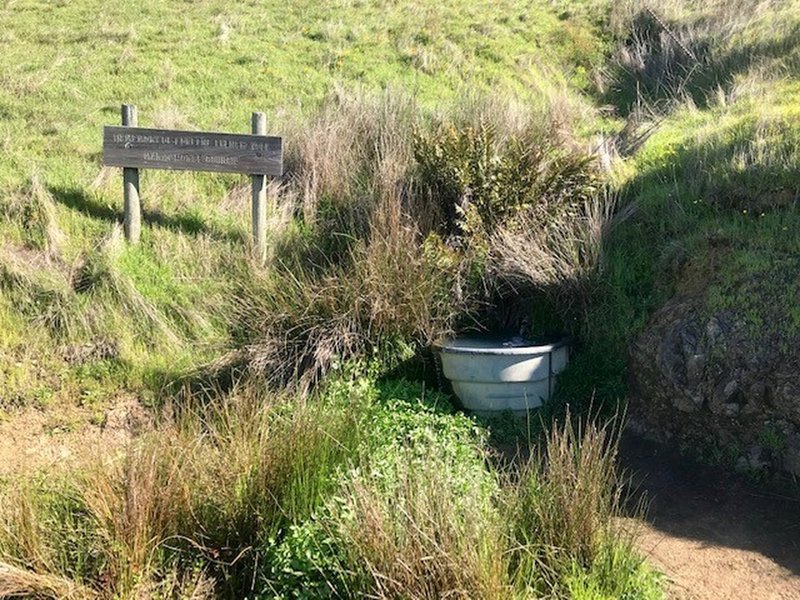 Horse Trough