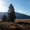 Leaving the Lost Creek Wilderness Area on Segment 4