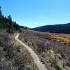 Large, grassy valley where the Brookside-McCurdy Trail joins the CT