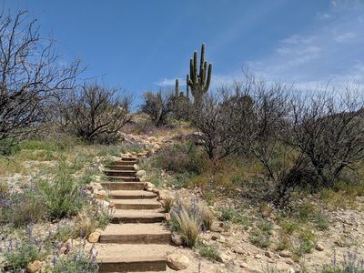 Some of the stairs of the Romero Ruins Interpretive Trail.