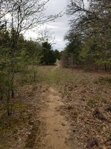 Trail easing from woodlands to open areas with cedars. New Deal Trail, Lake Murray State Park, OK