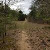 Trail easing from woodlands to open areas with cedars. New Deal Trail, Lake Murray State Park, OK