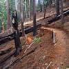 The well-developed use trail between the old road and the mine.