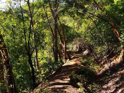Along the trail