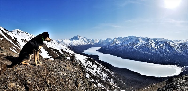 View of Eklutna Lake and Bold Peak from the Pepper Peak trail.