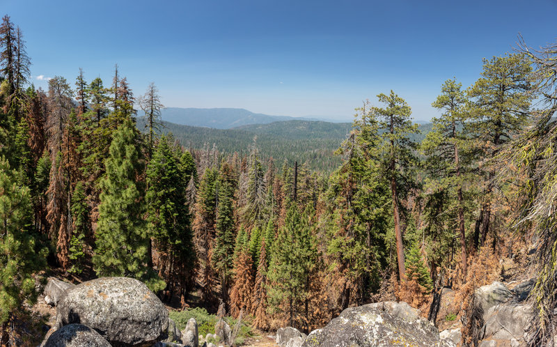 Easterly view from the highest point on the trail to Deer Camp