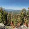 Easterly view from the highest point on the trail to Deer Camp