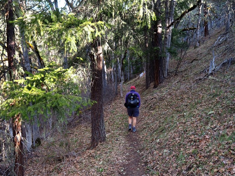 Starting up the Bear Gulch Trail