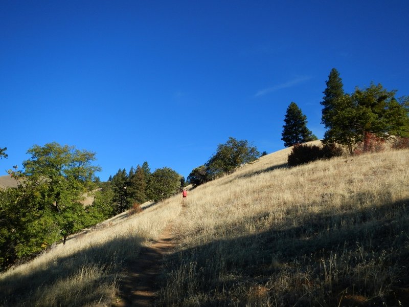 Crossing one of the big meadows along the trail