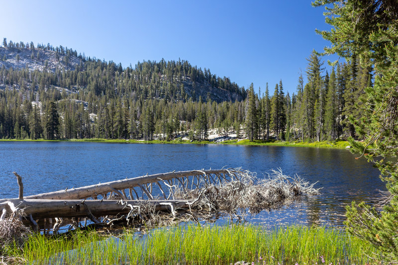 West side of Johnson Lake