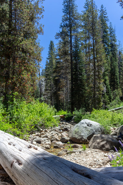 Large boulders and trunks make it very easy to cross Chilnualna Creek