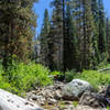 Large boulders and trunks make it very easy to cross Chilnualna Creek