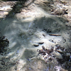 Bubbling sandy bottom of sand spring.