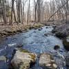 Brook at Racebrook Tract