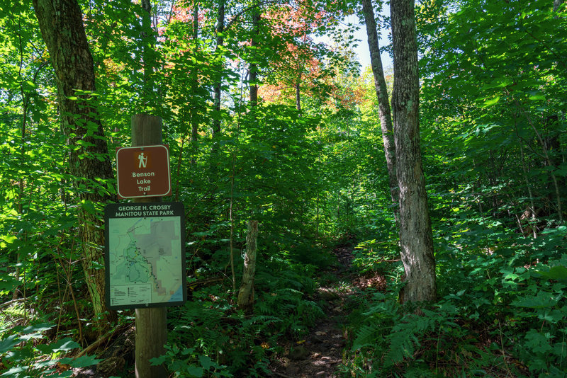 Benson Lake Trail at George H. Crosby Manitou State Park, Minnesota