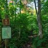 Benson Lake Trail at George H. Crosby Manitou State Park, Minnesota