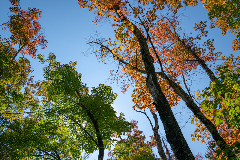 Fall Colors on Minnesota's North Shore