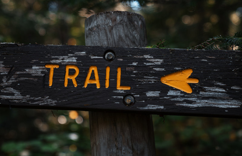 Hiking Trail Sign in the Forest