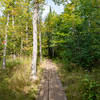 Boardwalk through the Forest - North Shore, Minnesota