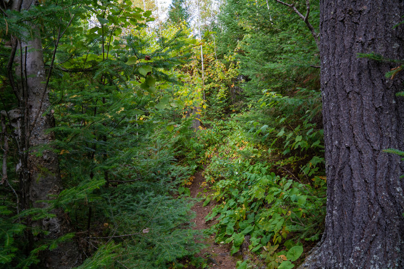 Border Route Trail - Hiking in Northern Minnesota