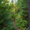 Border Route Trail - Hiking in Northern Minnesota