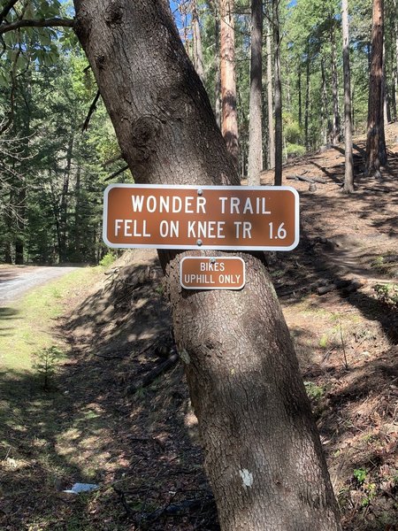 Sign 1.7 miles up FS Road 2060 to Wonder Trail.