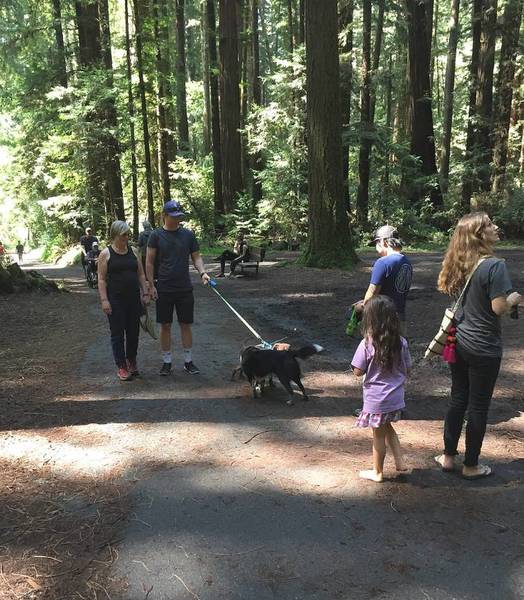 The Pipeline Trail is family and dog-friendly. It follows the San Lorenzo River, then heads uphill through a redwood grove.