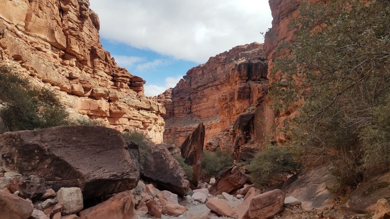 Through the canyon on the way to Supai Village.